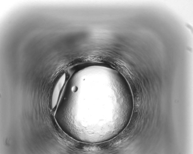 X0000093770503200710301208