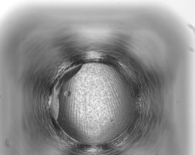 X0000093770504200710301208