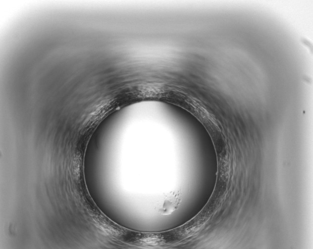 X0000093770505200710301208