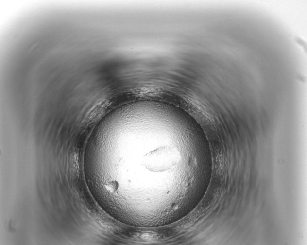 X0000093770506200710301208