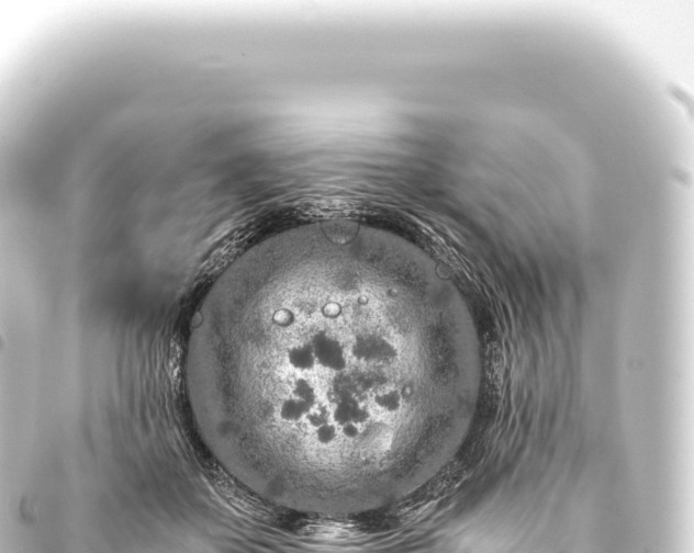 X0000093770507200710301208