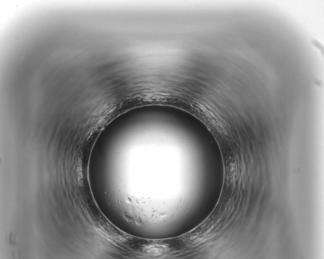 X0000093770508200710301208