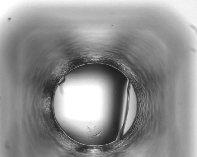 X0000093770509200710301208