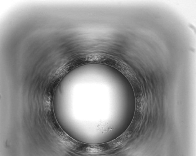 X0000093770510200710301208