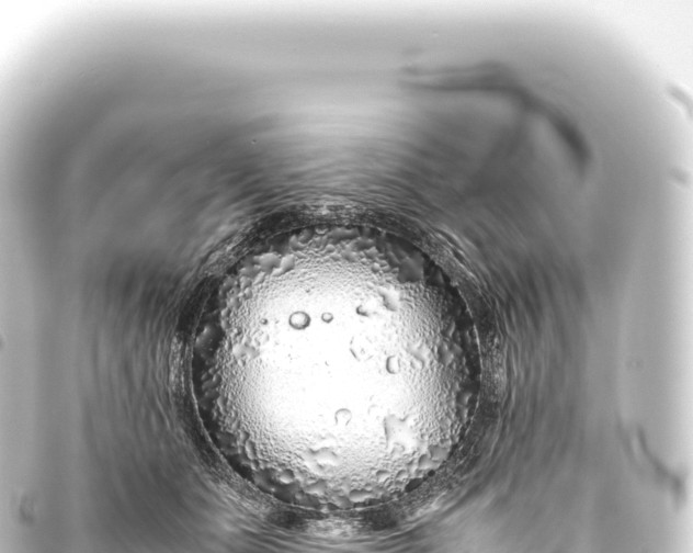 X0000093770511200710301208