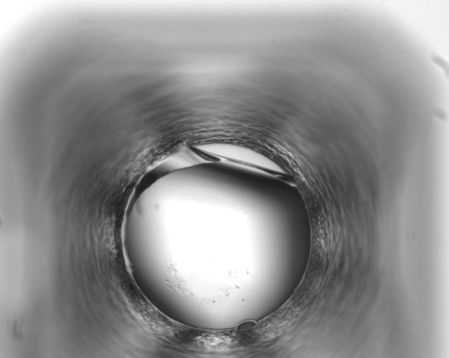 X0000093770512200710301208