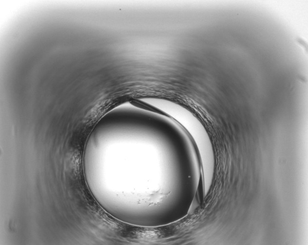 X0000093770513200710301208