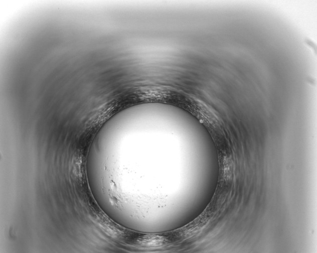 X0000093770514200710301208