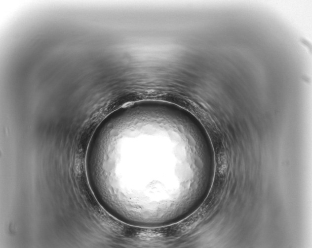 X0000093770515200710301208