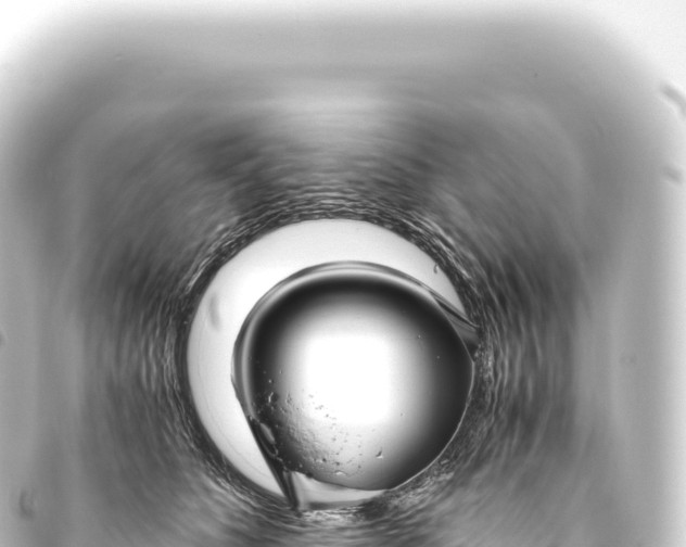 X0000093770516200710301208