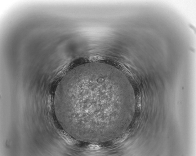 X0000093770519200710301208