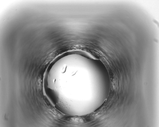 X0000093770520200710301208