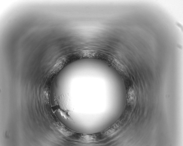 X0000093770522200710301208