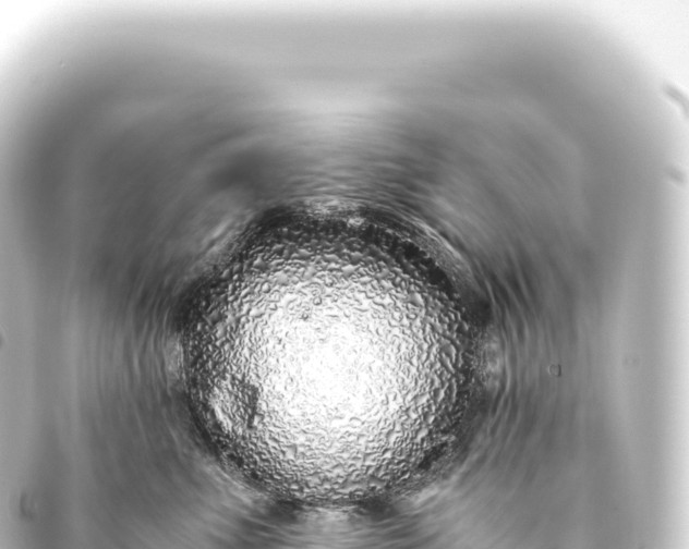 X0000093770523200710301208