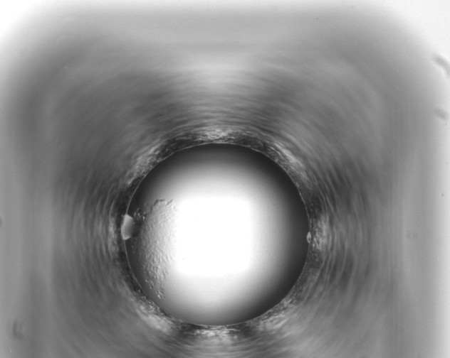 X0000093770524200710301208