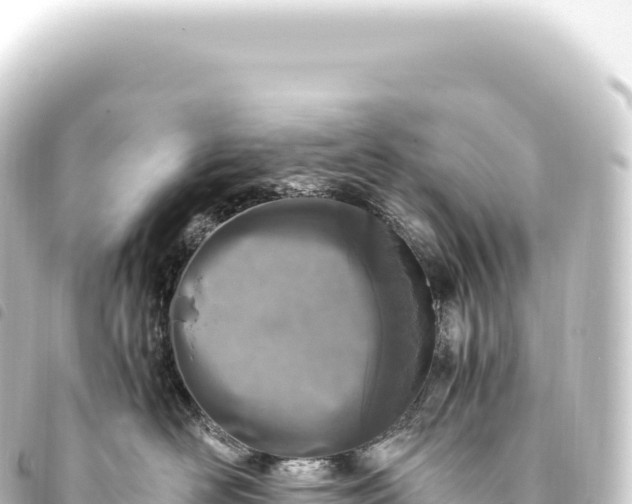 X0000093770526200710301208