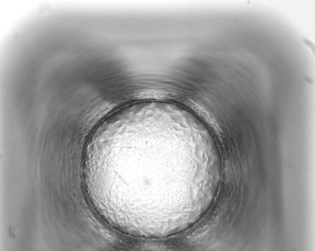 X0000093770529200710301207