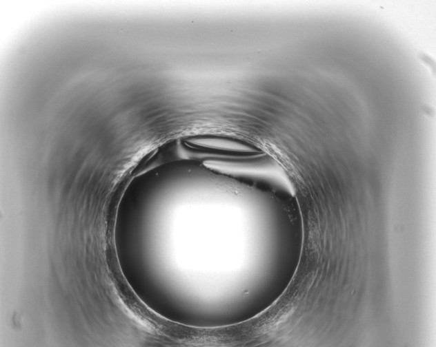 X0000093770530200710301207