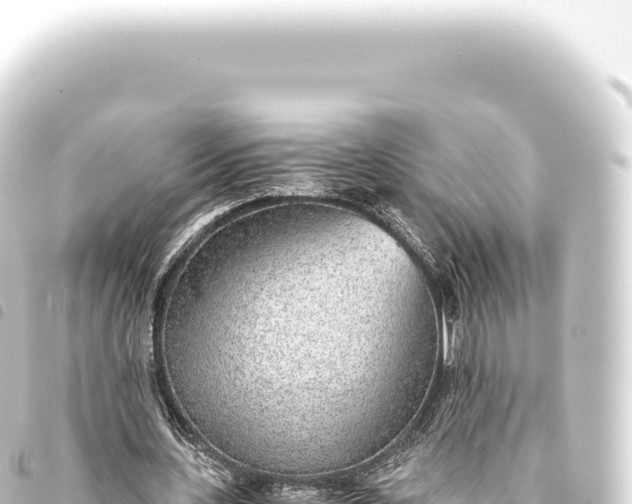 X0000093770531200710301207