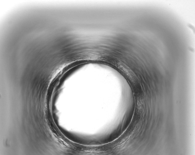 X0000093770532200710301207