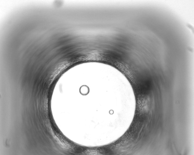 X0000093770534200710301207