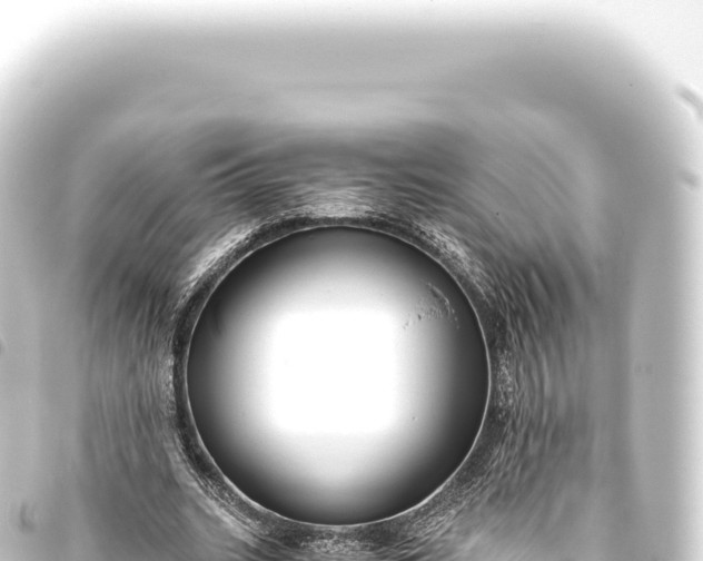 X0000093770535200710301207