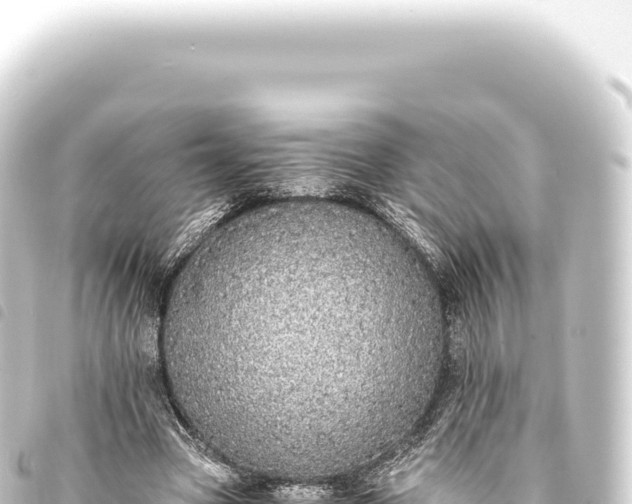 X0000093770537200710301207