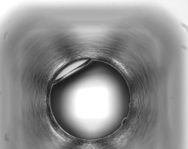 X0000093770538200710301207