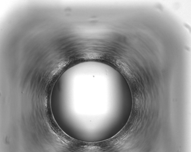 X0000093770539200710301207