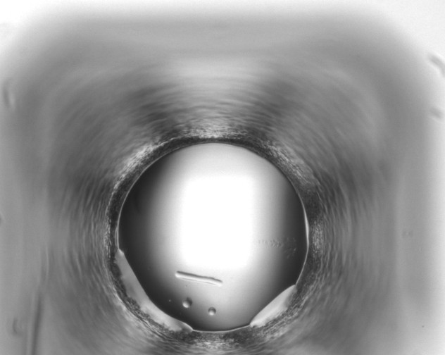 X0000093770540200710301207