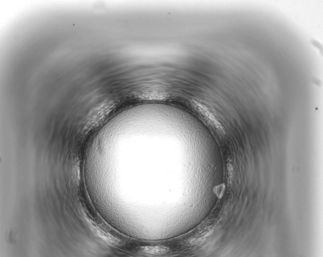 X0000093770541200710301207