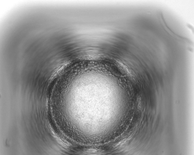 X0000093770542200710301207