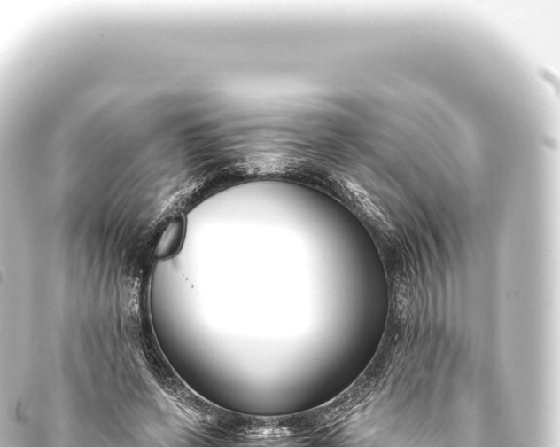 X0000093770543200710301207