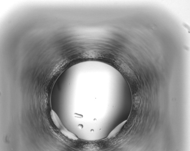 X0000093770544200710301207