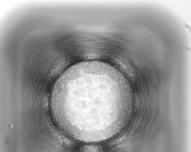 X0000093770545200710301208