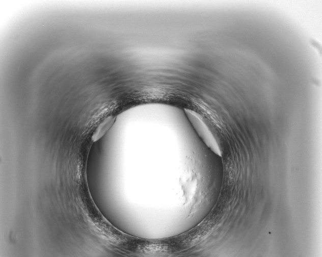 X0000093770546200710301208