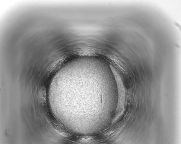 X0000093770547200710301208