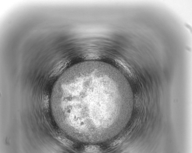 X0000093770549200710301208