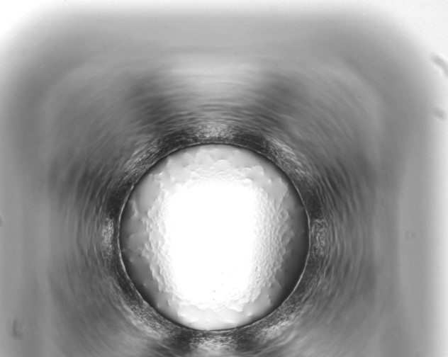 X0000093770550200710301208