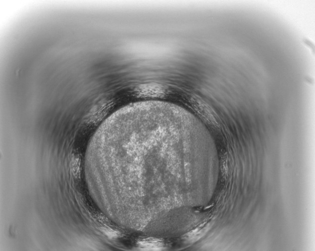 X0000093770551200710301208