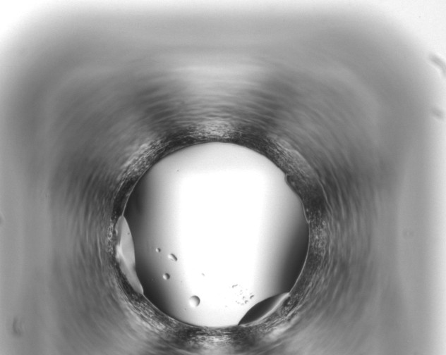 X0000093770552200710301208