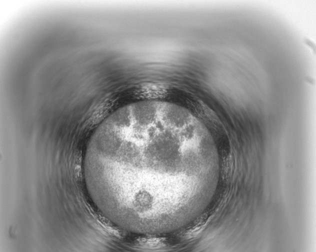 X0000093770553200710301208