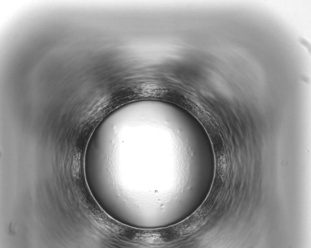 X0000093770554200710301208