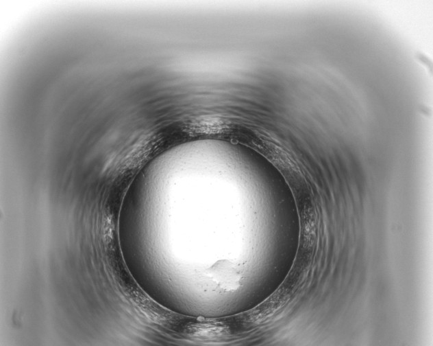 X0000093770555200710301208