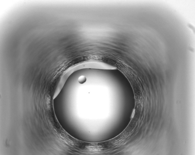 X0000093770556200710301208