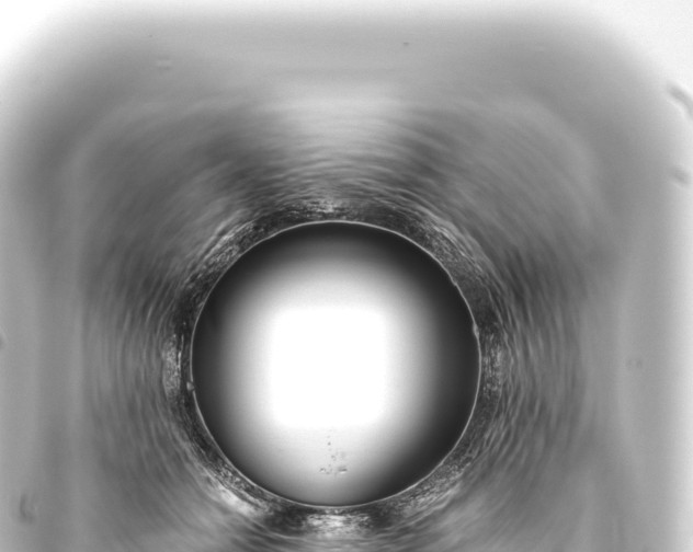 X0000093770558200710301208