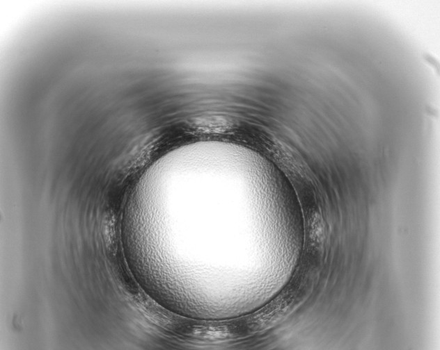 X0000093770559200710301208