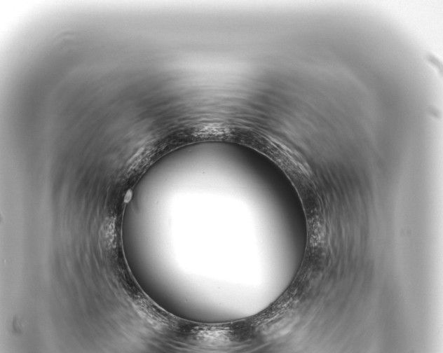 X0000093770560200710301208