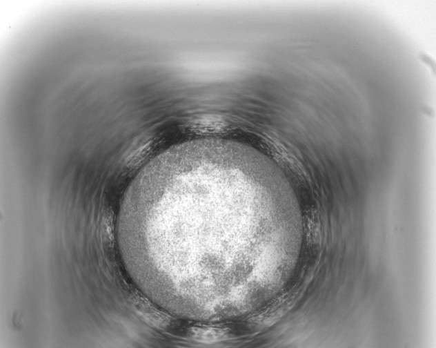 X0000093770561200710301208