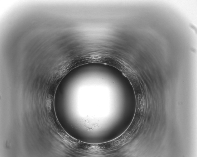 X0000093770562200710301208